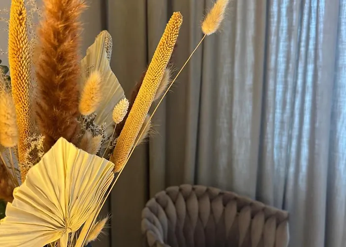 Melkein 100 Nelioetae Tampereen Ydinkeskustassa 坦佩雷