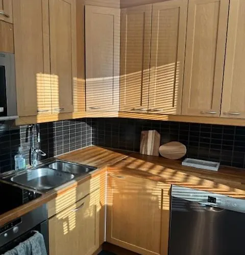 Melkein 100 Nelioetae Tampereen Ydinkeskustassa * 坦佩雷